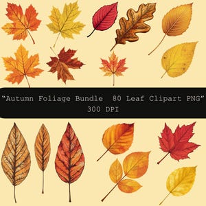 Herbst Blätter Clipart | Ahorn & Eichenblatt PNG SVG DXF Dateien