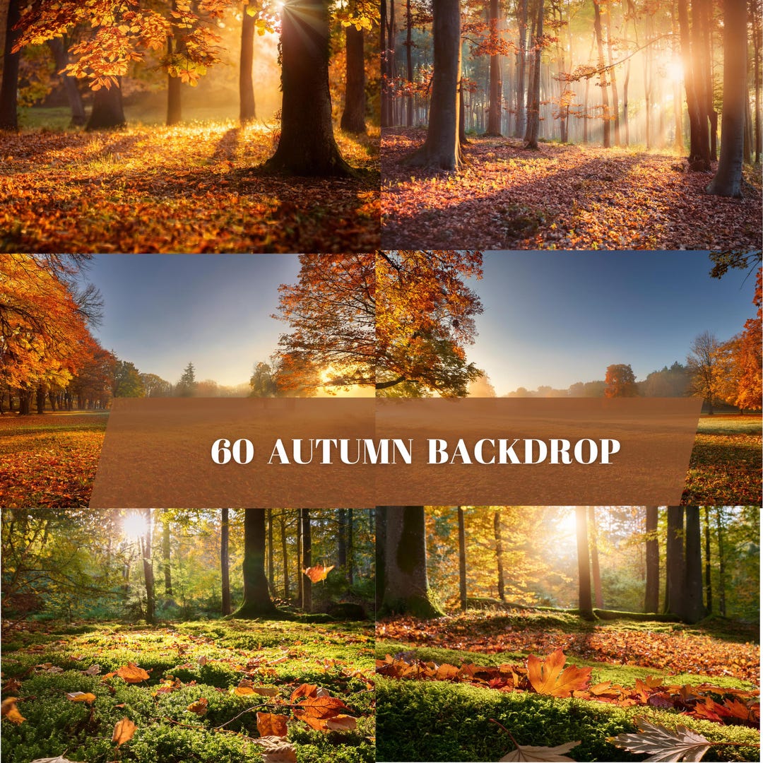 Set of 60 Autumn Digital Backdrops – Fall Backgrounds for Portraits ...