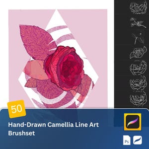 May include: A set of 50 hand-drawn camellia line art brushes for digital art. The image shows a pink camellia flower with a white background.