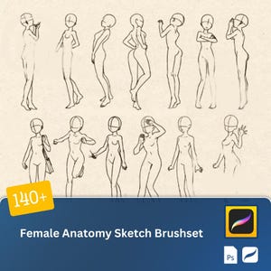 Op de afbeelding: Een set van 12 vrouwelijke anatomieschetsen in verschillende poses, perfect voor kunstenaars en illustratoren. De schetsen zijn getekend in een eenvoudige, gestileerde stijl en zijn gemakkelijk te gebruiken als referentie.