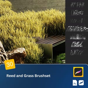 Op de afbeelding: Een set van 30 digitale penselen voor Adobe Photoshop en Procreate, met verschillende stijlen van riet en grassen. De penselen worden weergegeven op een zwarte achtergrond met witte contouren. De afbeelding toont ook een houten bank en een stuk gras.