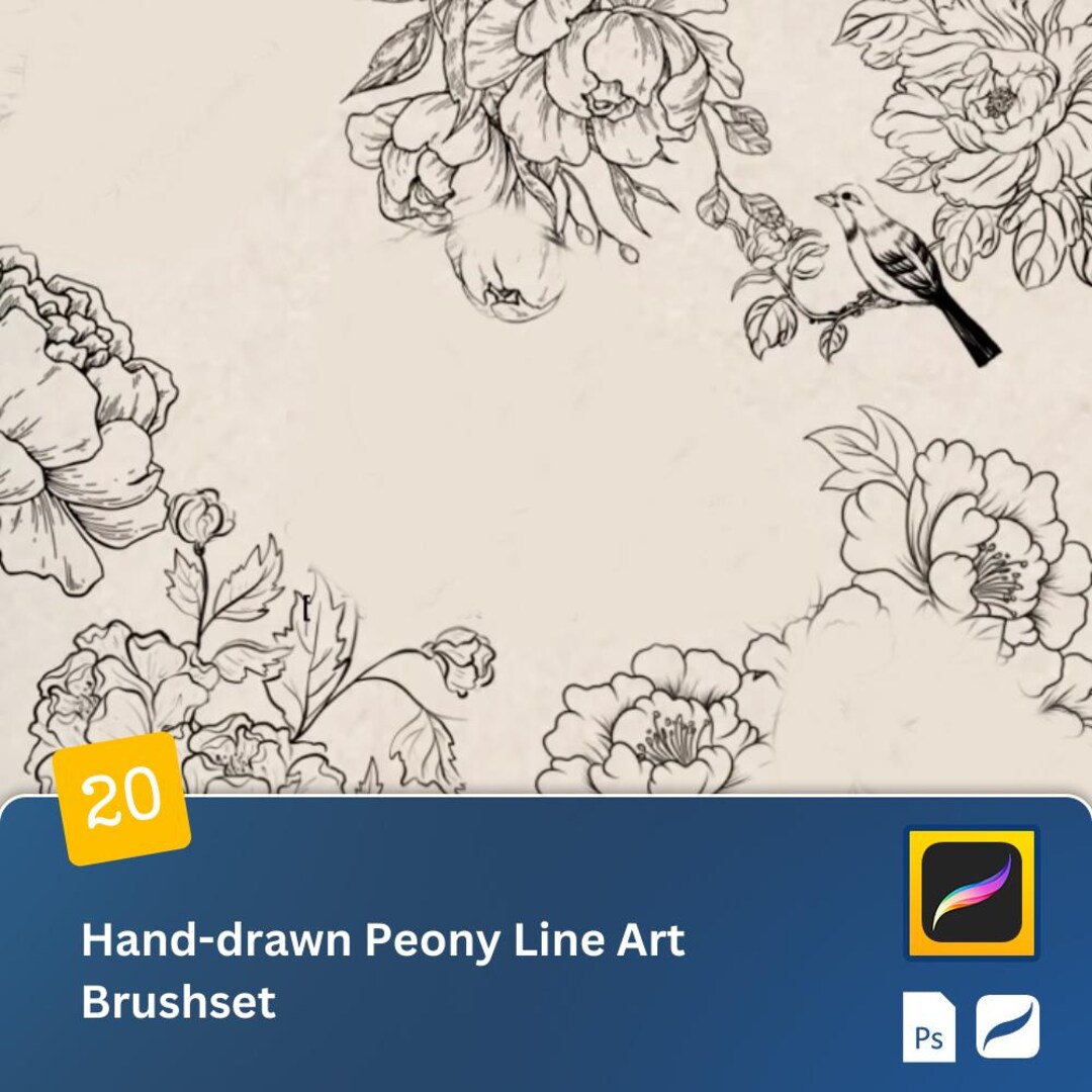 Hand-drawn Peony Line Art Procreate Brush Set for iPad Traditional ...