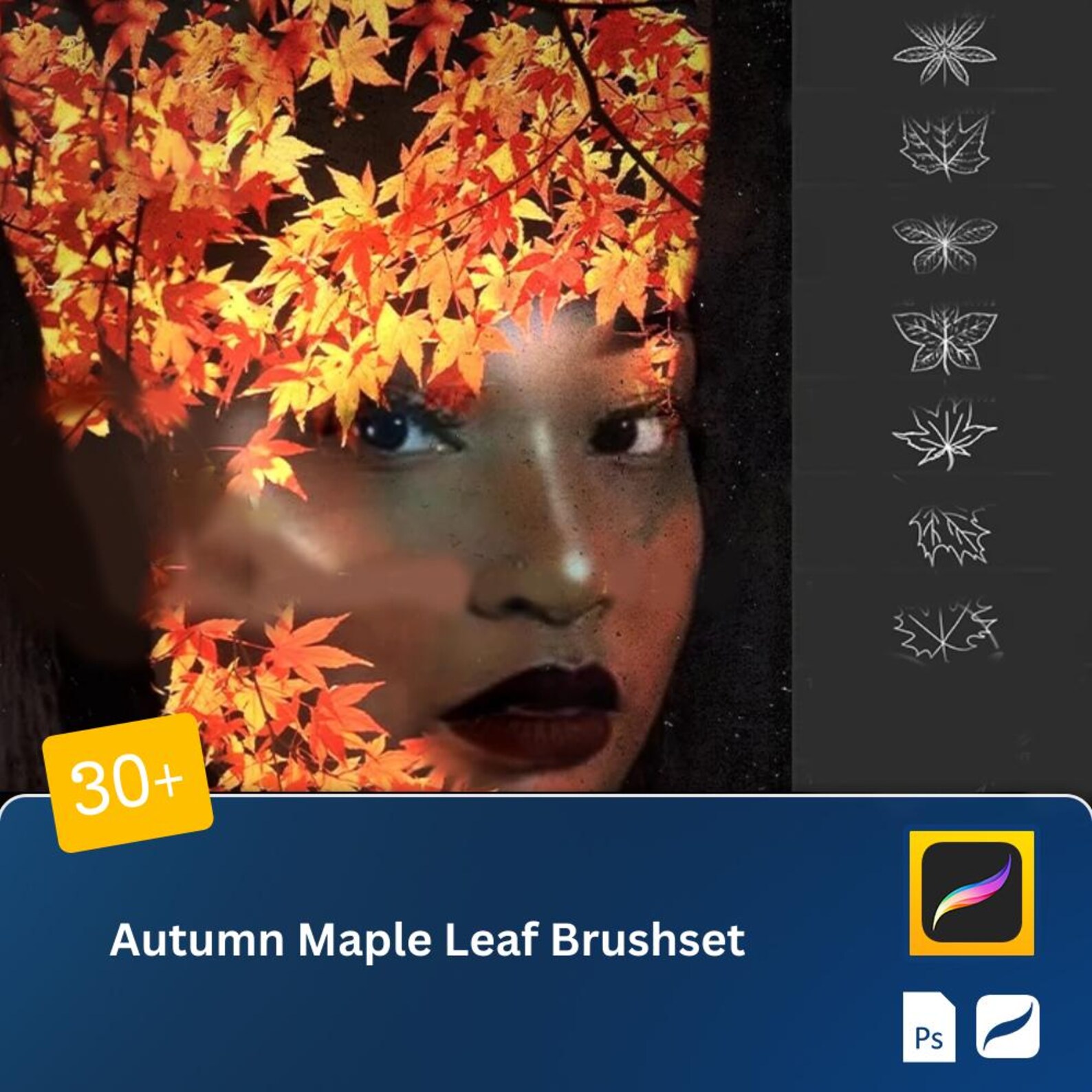30+ Autumn Maple Leaf Procreate & Photoshop Brushes – Falling Leaves ...