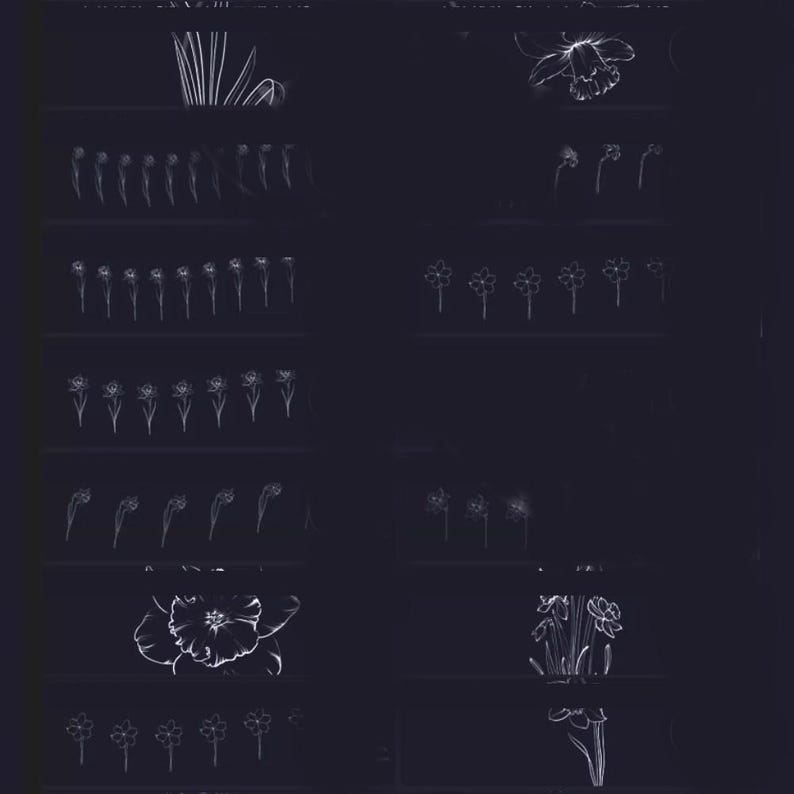 Daffodil Flower Line Art Brushes for Procreate & Photoshop - Floral ...