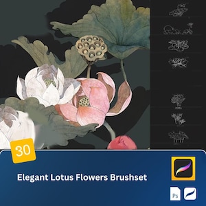Chinese Lotus Art Procreate & Photoshop Brushset – Elegant Lotus Flowers, Leaves, and Line Art for Traditional Floral Illustrations on iPad