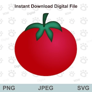 Tomate rojo maduro, clipart de tomate, ilustración de fruta vegetal, ilustración de tomate, SVG, PNG JPEG, archivo digital Cricut