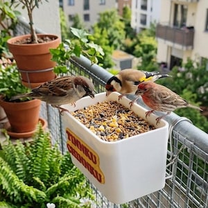 May include: A white bird feeder with the text "TINKKU CHINKKU" in yellow, filled with birdseed, is attached to a metal railing. Three birds are perched on the feeder, with a cityscape visible in the background. Potted plants and greenery surround the balcony.
