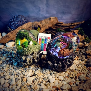 May include: Two decorative egg-shaped resin sculptures with internal lighting. One features green and yellow elements, the other has a colorful, iridescent design. Both sit on textured bases, with a remote control in between. The background includes wood and stones.