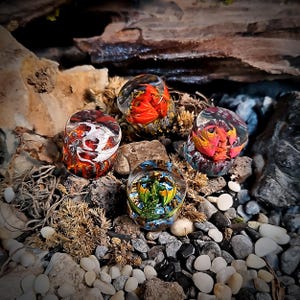 Puede incluir: Cuatro pisapapeles decorativos de vidrio con diseños coloridos. Los pisapapeles presentan arte incrustado con elementos rojos, naranjas, blancos y verdes. Se exhiben sobre un lecho de rocas y guijarros, con un fondo natural.