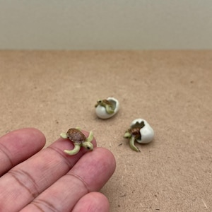 Miniature Ceramic Sea Turtle Hatchling Figurines, Baby Turtle Coming Out of Shell, Tiny Ocean Animal Decor, Coastal Shelf Art, Handmade Gift
