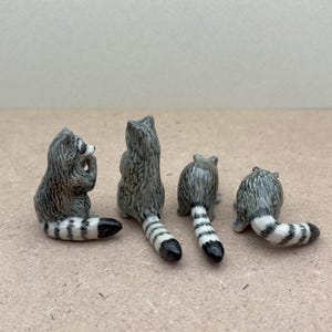 Pu&ograve; includere: Quattro statuine di procione in ceramica, ciascuna con una posa diversa, sono disposte in fila su una superficie marrone chiaro. I procioni sono grigi e bianchi con strisce nere sulle code.