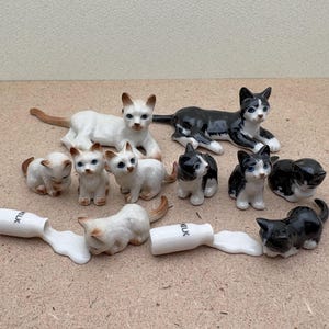 Op de afbeelding: Een verzameling van negen keramische kattenbeeldjes, sommige zwart-wit, sommige wit en sommige met zwarte markeringen. De beeldjes zijn gerangschikt op een lichtbruine ondergrond. Twee miniatuur melkpakken zijn ook in de afbeelding opgenomen.