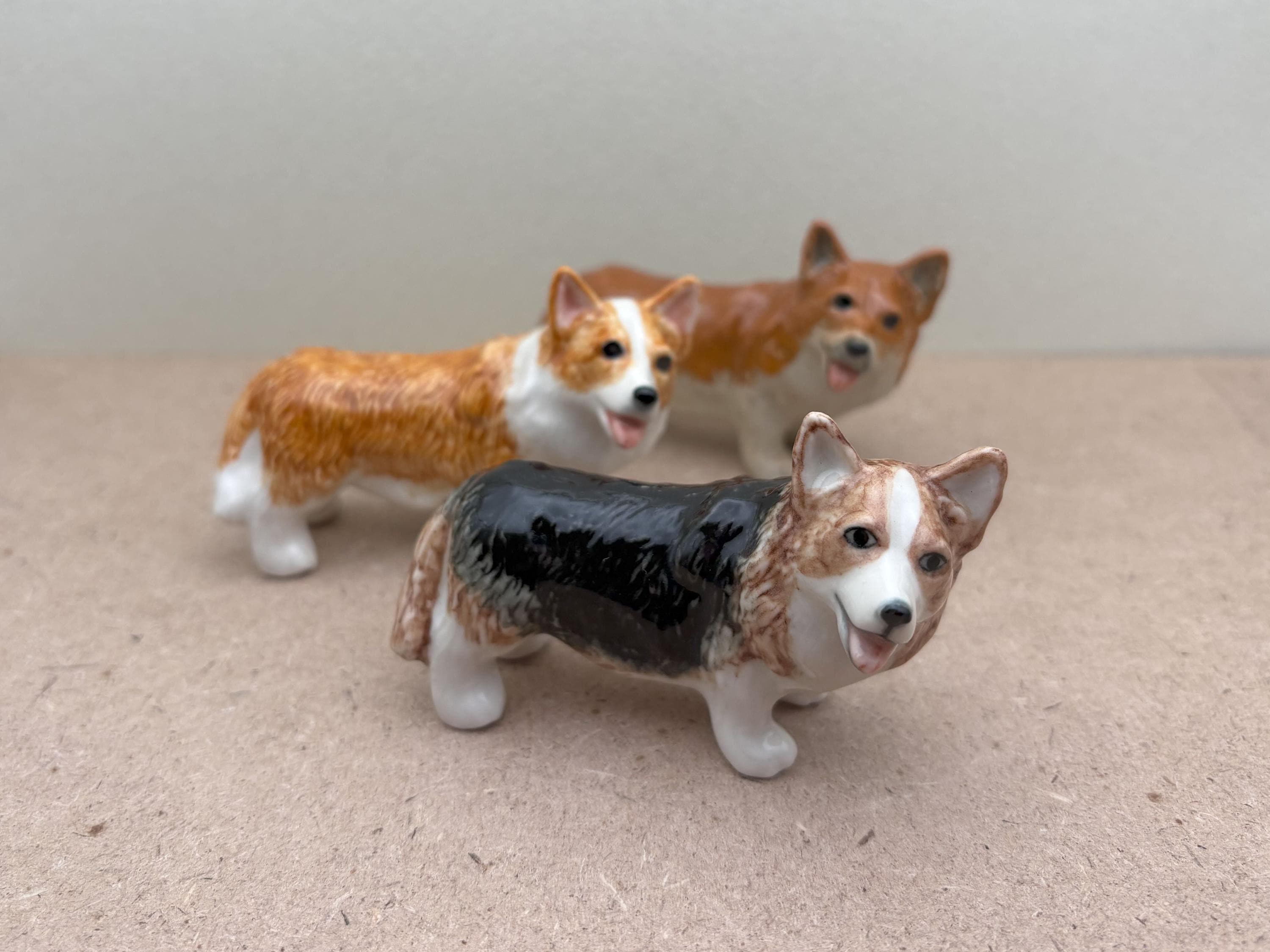 Smart mignon Welsh Corgi Pembroke dans des verres allongé dans un lit de chien avec une pile de