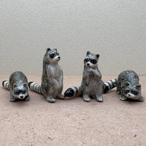Pu&ograve; includere: Quattro statuine di procione in ceramica con code a strisce bianche e nere. I procioni sono in piedi su una superficie marrone chiaro.