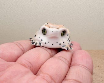 Op de afbeelding: Een klein, wit keramiek kikkerbeeldje met zwarte vlekken en grote, realistische ogen. De kikker zit op de hand van een persoon.