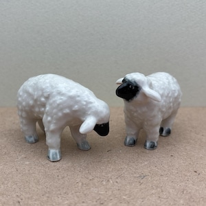 2 Sheeps