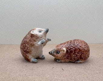 Ceramic Hedgehog Salt and Pepper Shakers: Woodland Kitchen Decor