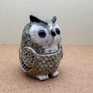 Whimsical Owl Salt & Pepper Shakers: Rustic Ceramic Kitchen Decor