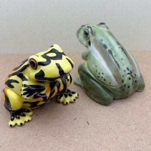 Handcrafted Ceramic Frog Salt & Pepper Shakers: Colorful Kitchen Decor