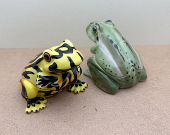 Handcrafted Ceramic Frog Salt & Pepper Shakers: Colorful Kitchen Decor