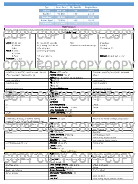 RN Labs Cheat Sheet - Etsy