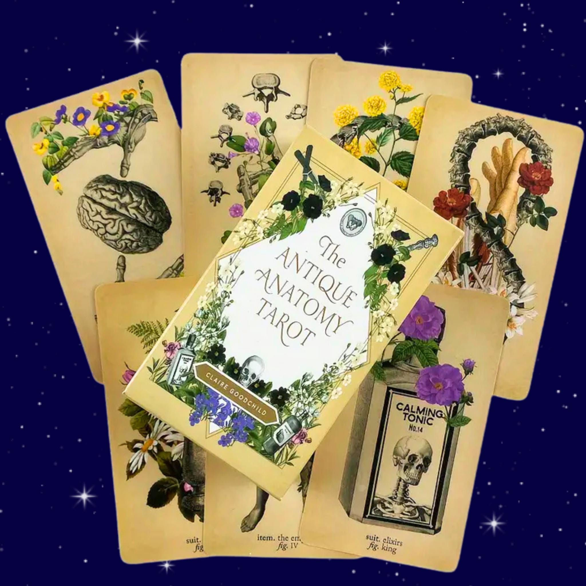 Memento Mori Oracle Deck - Etsy Memento Mori Oracle Deck - Etsy