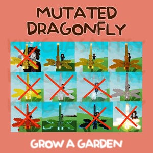 Op de afbeelding: Een perzikkleurige afbeelding met de tekst "MUTATED DRAGONFLY" en "GROW A GARDEN". De afbeelding toont meerdere libellenontwerpen, waarvan sommige met rode kruizen zijn doorgestreept. De libellen zijn in verschillende kleuren, waaronder geel, oranje en groen.