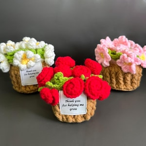 Personalisierte häkeln Blume Untersetzer mit Korb häkeln Blumenstrauß Decke, Blumen Untersetzer und Topf-Set, häkeln Geschenk, Muttertagsgeschenk