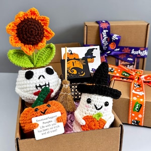 Könnte beinhalten: Ein Karton voller handgefertigter Halloween-Dekorationen aus Häkelarbeit. Enthält eine Sonnenblume, einen Kürbis, einen Geist mit Hexenhut und eine Karte mit der Aufschrift "Emotional Support Pumpkin". Die Box ist mit Halloween-Bändern verziert.