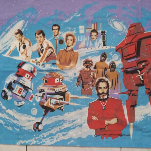 RARE Vintage Set Of 2 The Black Hole 1979 Flat Bed Sheet And Pillowcase Walt Disney Productions