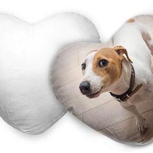 May include: Heart-shaped decorative pillow. One pillow is plain white, the other features a Jack Russell Terrier dog with brown and white markings. The dog is wearing a brown collar.