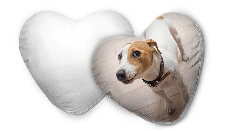 May include: Heart-shaped decorative pillow. One pillow is plain white, the other features a Jack Russell Terrier dog with brown and white markings. The dog is wearing a brown collar.