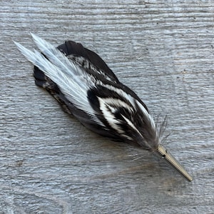 May include: A decorative feather with a silver wire wrapped base. The feather features a mix of black, white, and gray patterns. The feather's tip has three long, white feathers.