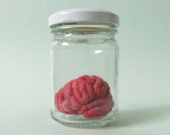 Specimen Jar Brain Anatomical Curio P1 Human Brain Display Anatomy Brain Art