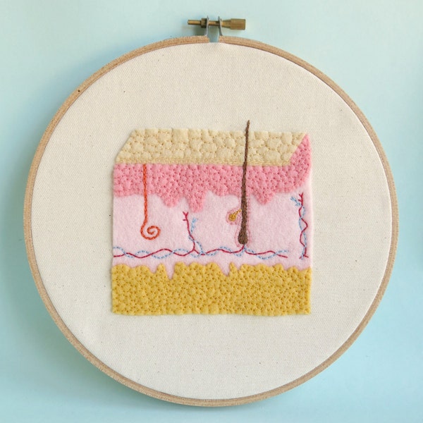 Skin Wall Hoop Medical Display Anatomy Medical Wall Art Epidermis Embroidery with Felt SALE ITEM