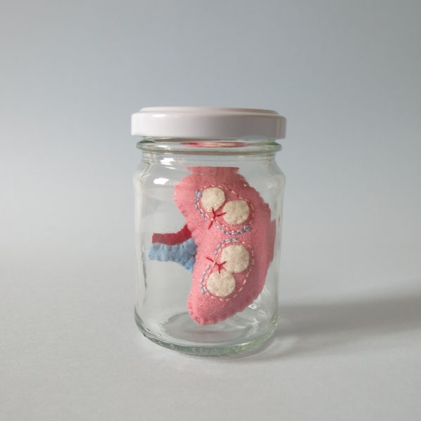 Spleen in a Jar Anatomical Curio Specimen Immune System Anatomy Decor Medical Collectable