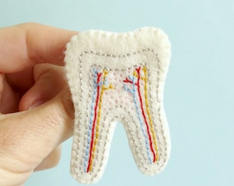 Tooth Cross Section Brooch Dental Pin Dentist Jewellery Teeth Jewelry