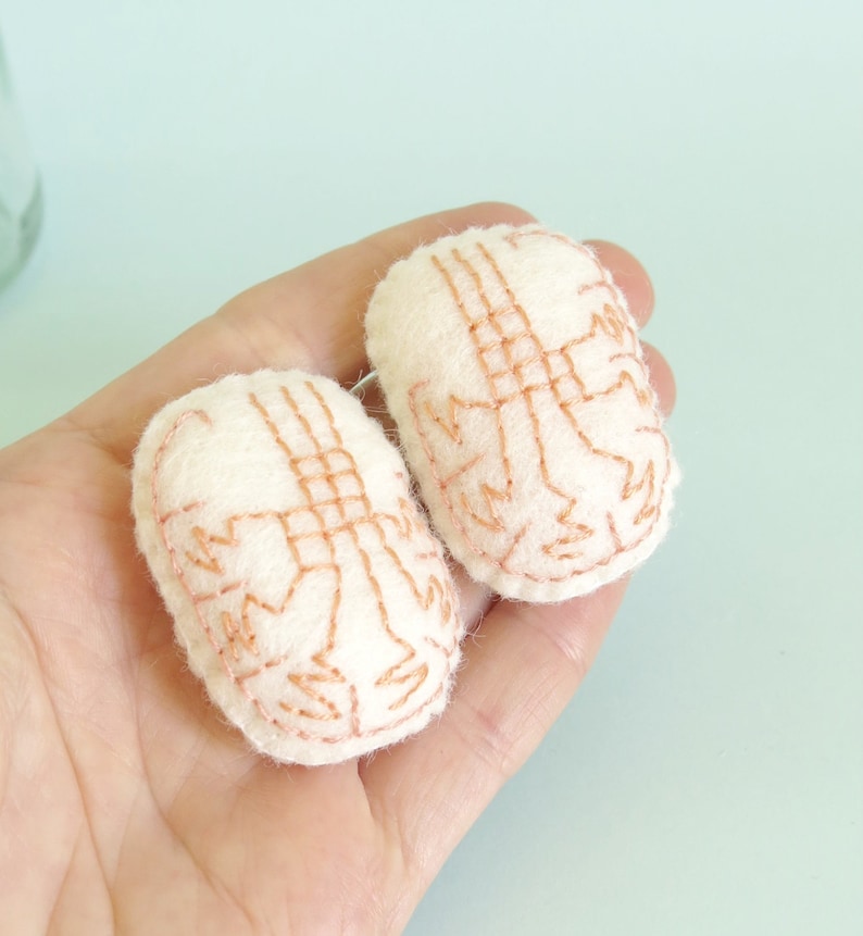 Testes in a Jar Anatomical Curio Testicles Specimen Jar Etsy