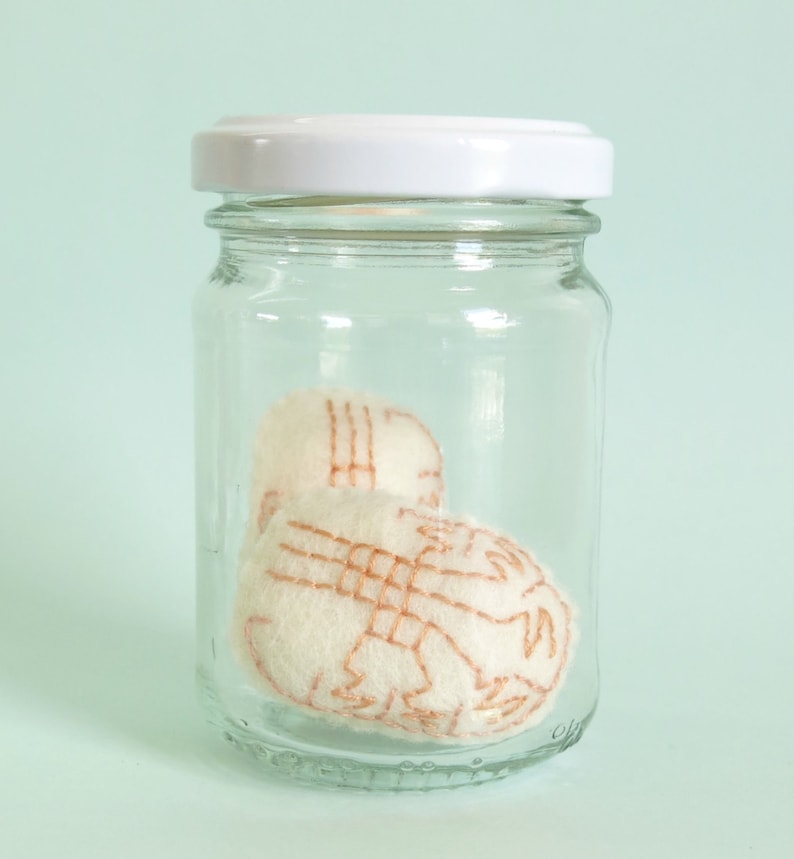 Testes in a Jar Anatomical Curio Testicles Specimen Jar Etsy