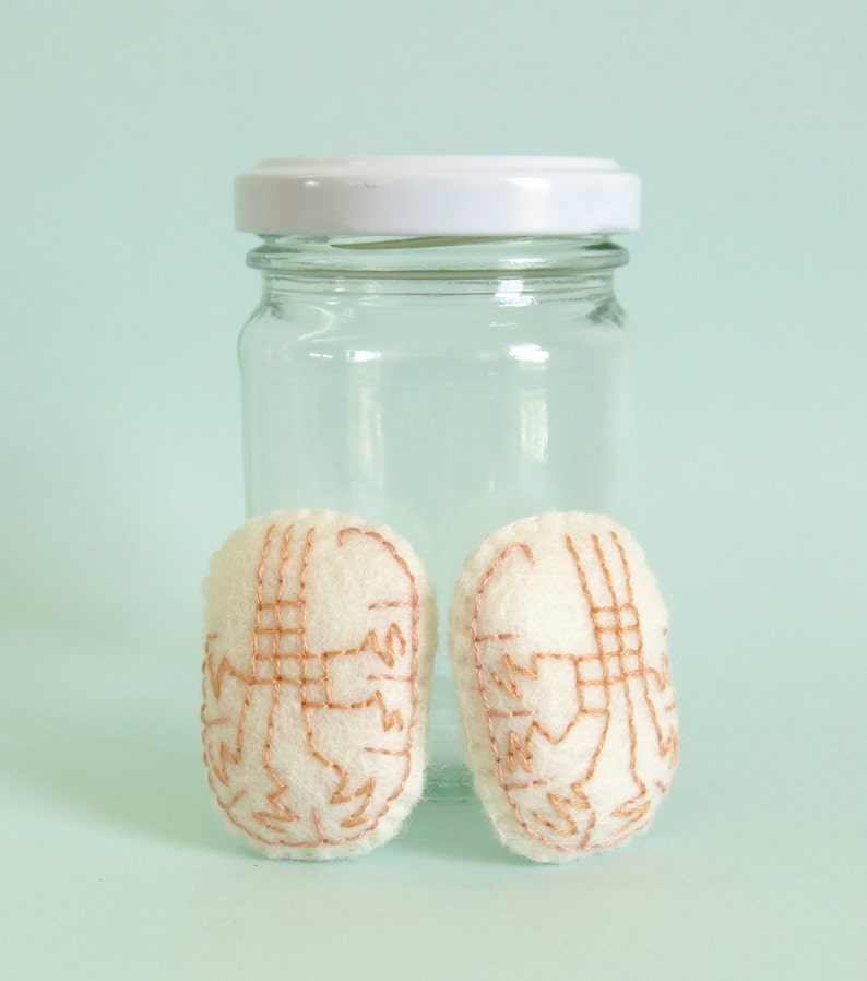 Testes in a Jar Anatomical Curio Testicles Specimen Jar Etsy