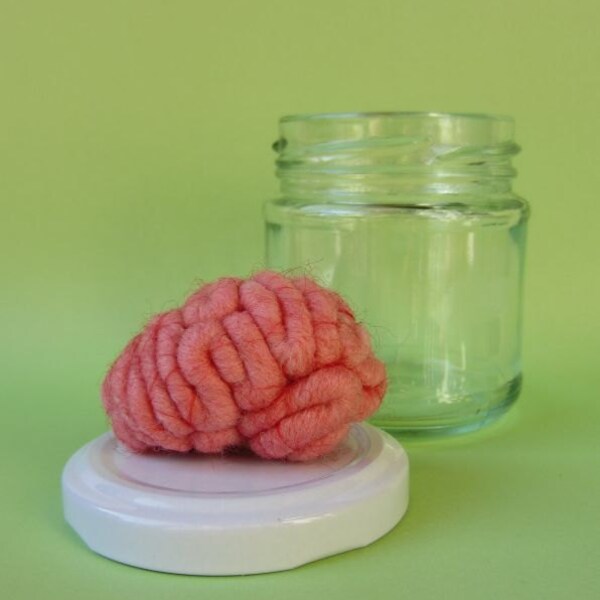 Brain Specimen Jar Human Anatomy 1C