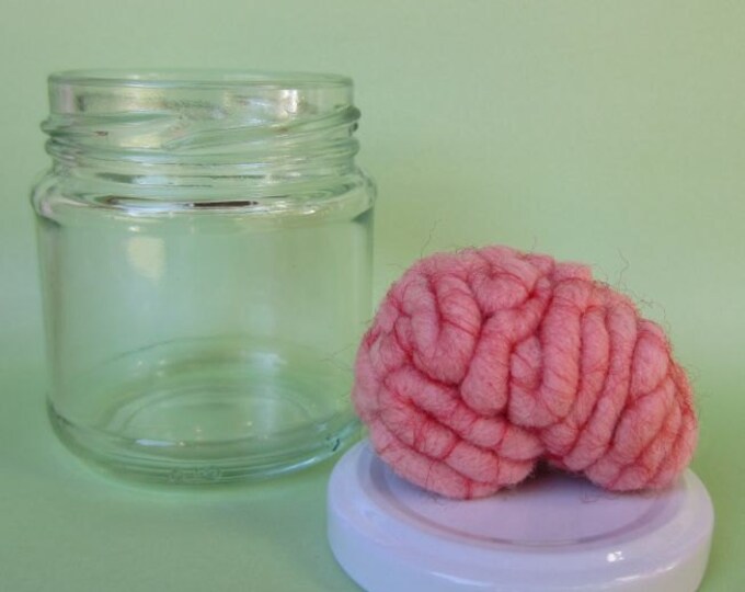 Brain Specimen Jar Human Anatomy 1R Etsy