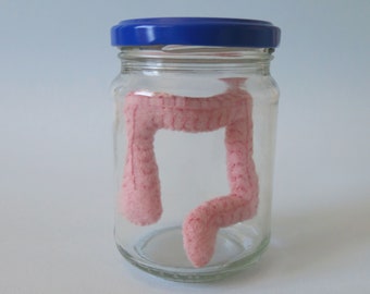 Large Intestine Colon in a Jar Anatomical Specimen in Felt Medical Decor Anatomy