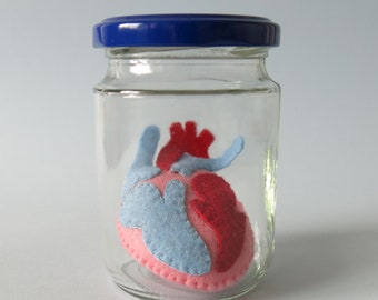 Heart Specimen Jar Anatomical Specimen Anatomy Medical Decor