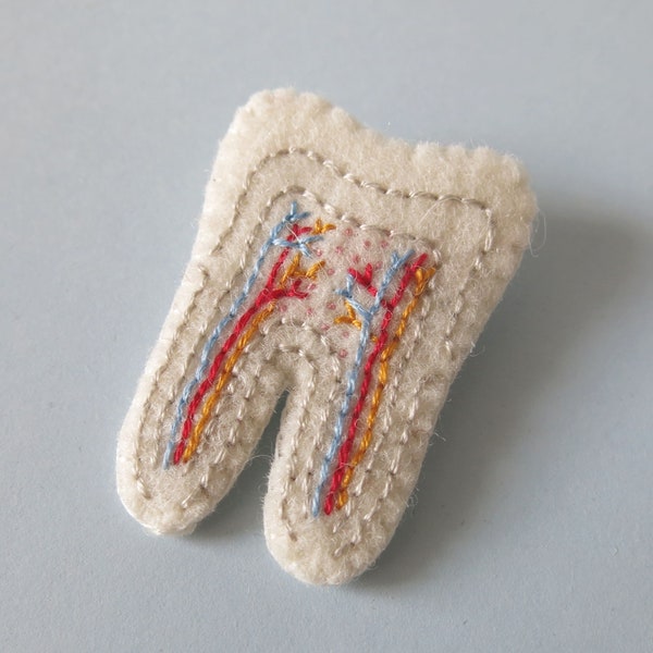 Tooth Cross Section Brooch SMALL size Teeth Jewellery Dental Jewelry Dentist Pin