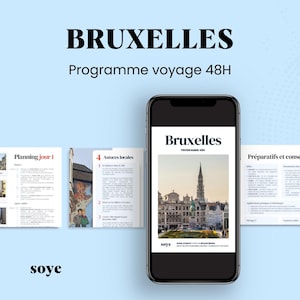 Trip to Brussels program / complete guide 48 hours