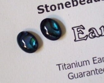 Oval Blue Paua Shell Studs with Titanium Ear Wires Made in Newfoundland Natural Dainty