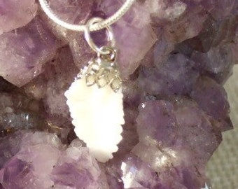 Memories of Newfoundland Cods Ear Otolith Codfish Natural Ear Stones Pendant Necklace 18 inches Sterling Silver Chain