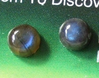 Labradorescence Exists 6mm Round Cabochon Labradorite Stud Earrings Earings Titanium Post and Clutch Flash Sparkly Magic Hypo Allergenic