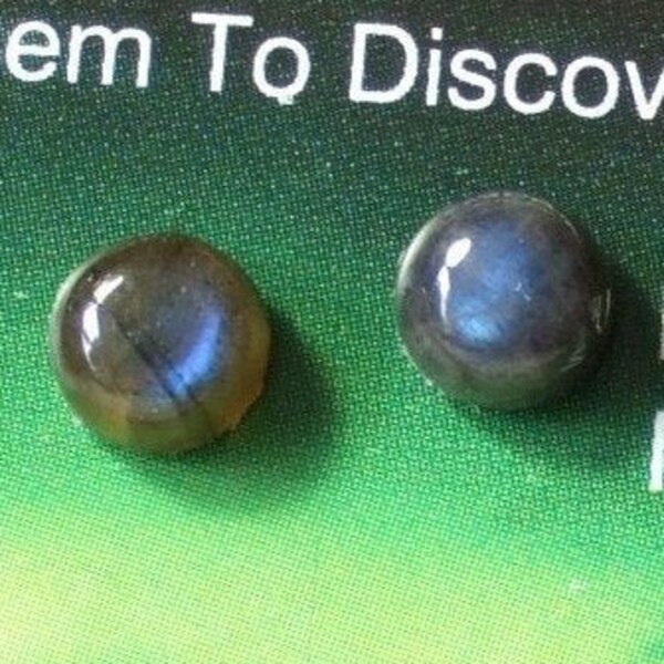 Labradorescence Exists 6mm Round Cabochon Labradorite Stud Earrings Earings Titanium Post and Clutch Flash Sparkly Magic Hypo Allergenic